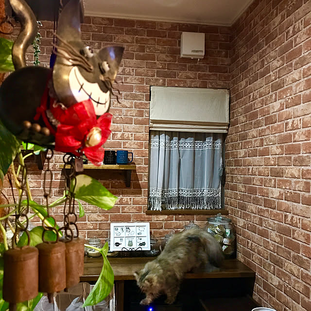 butachanさんの実例写真