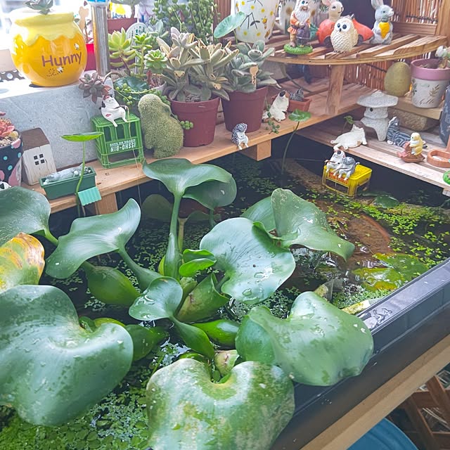 mariaさんの実例写真