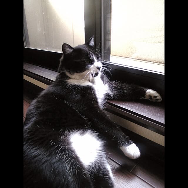 jnkaiさんの実例写真