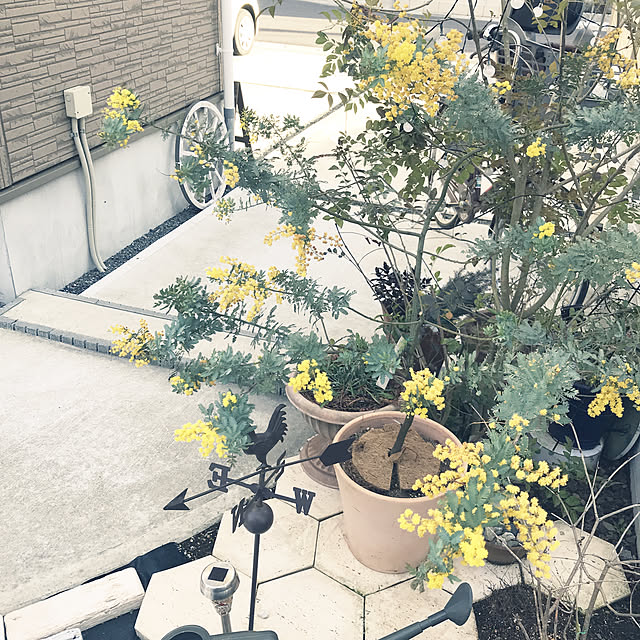 92さんの実例写真
