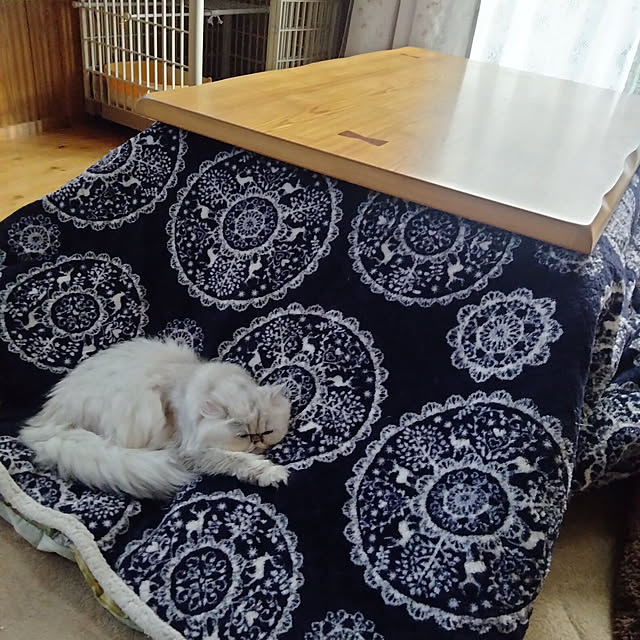 makaronさんの実例写真