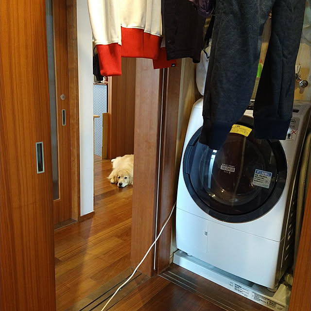 yoneさんの実例写真