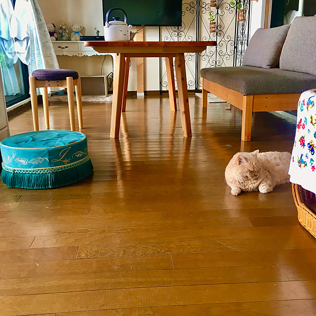 naokoさんの部屋