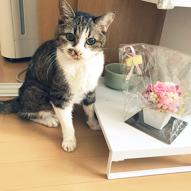 nnmmさんの実例写真
