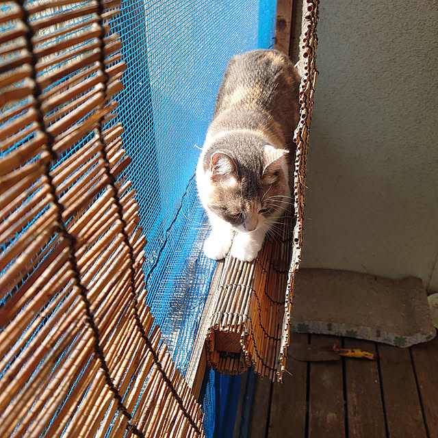 fukuさんの実例写真