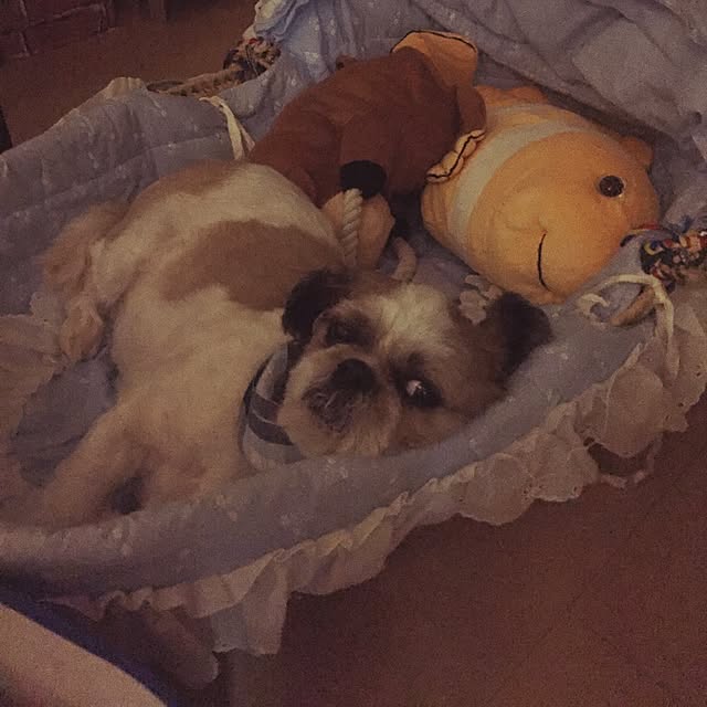 emiさんの実例写真
