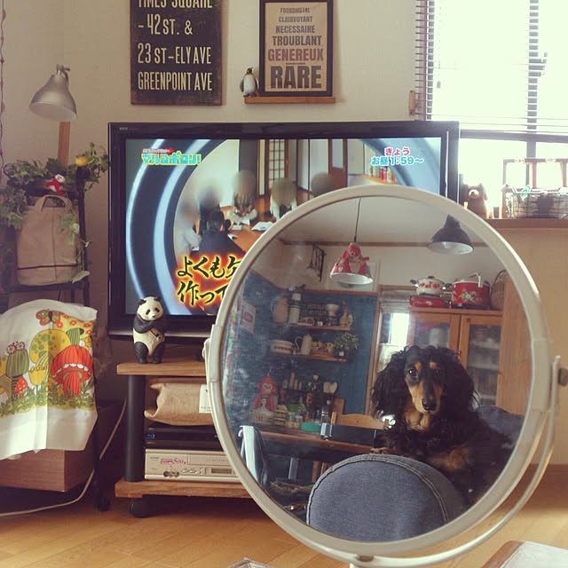 minaさんの実例写真