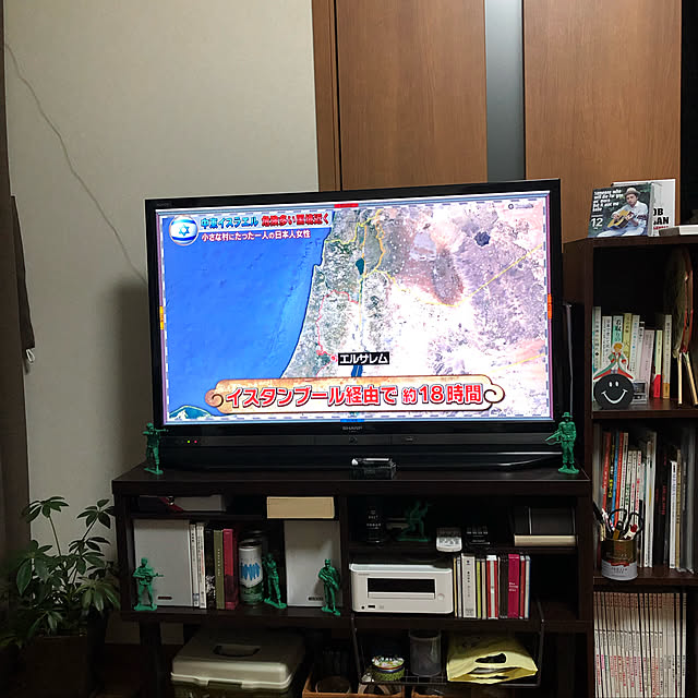otamaさんの実例写真