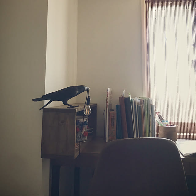 cantikさんの実例写真