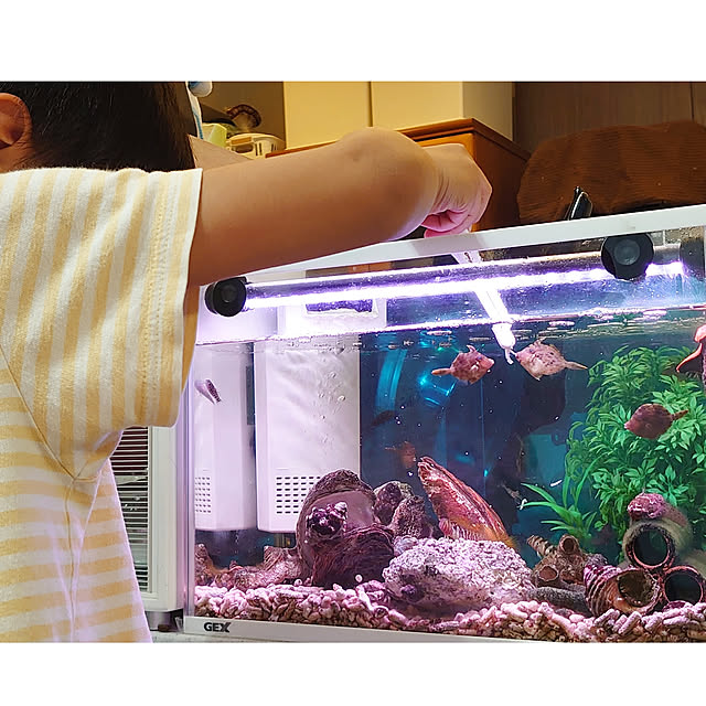 ToReTaRiさんの実例写真