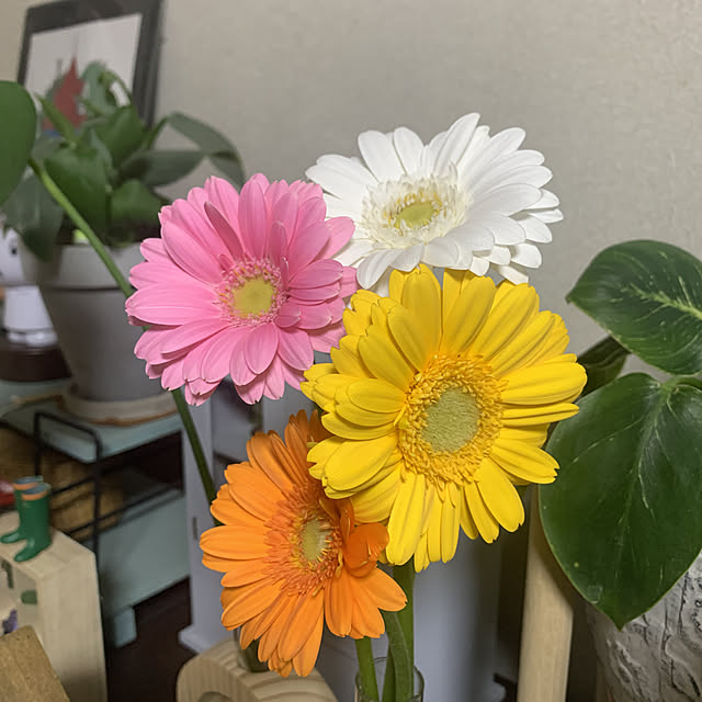 JUNさんの実例写真