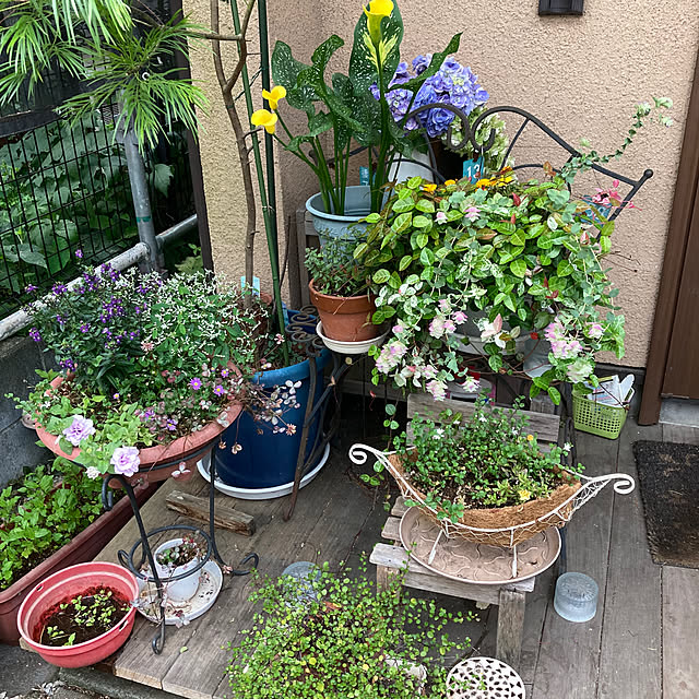 amiromikaさんの部屋
