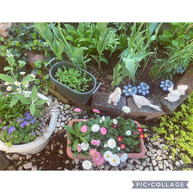 CoCo0617さんの部屋