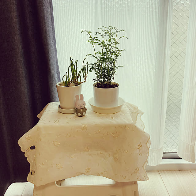 ponsさんの実例写真