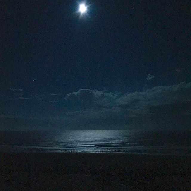 noahstyleさんの実例写真