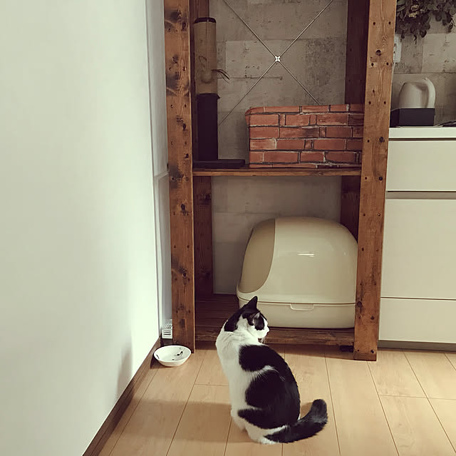 uzutamaさんの実例写真
