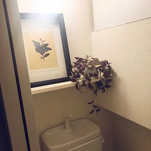 0141さんの実例写真