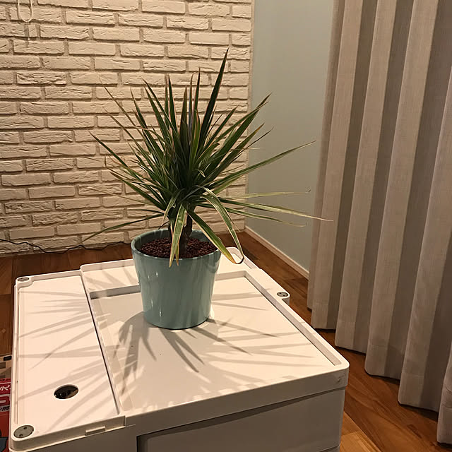macha104xさんの実例写真