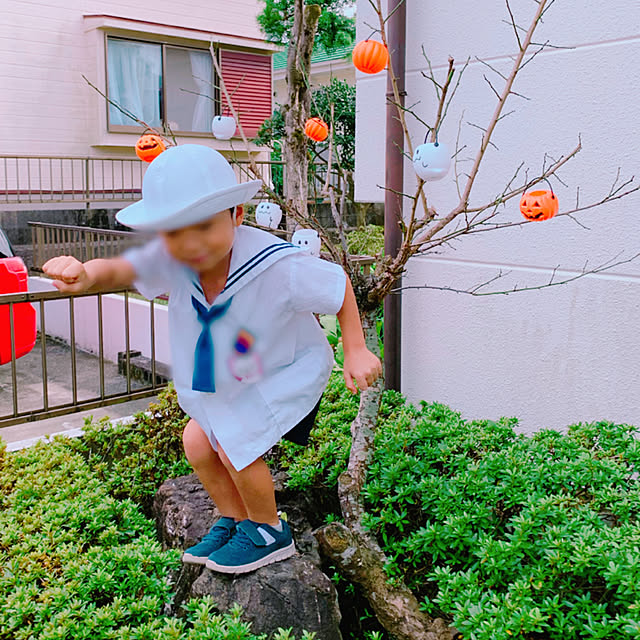 mymさんの実例写真