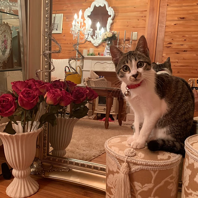 chamさんの実例写真