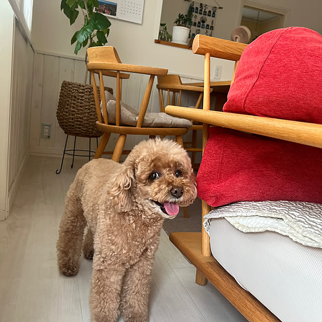 maimai35さんの実例写真