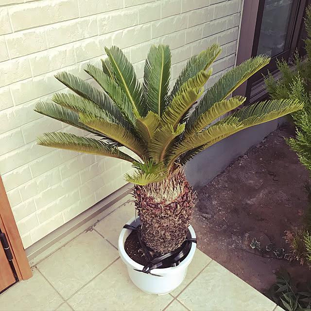 ei_naさんの実例写真