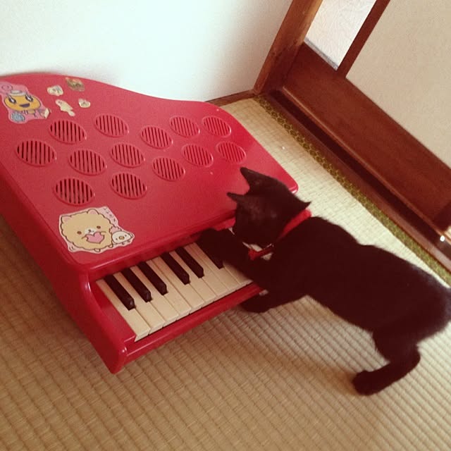 pandasyokudoさんの実例写真