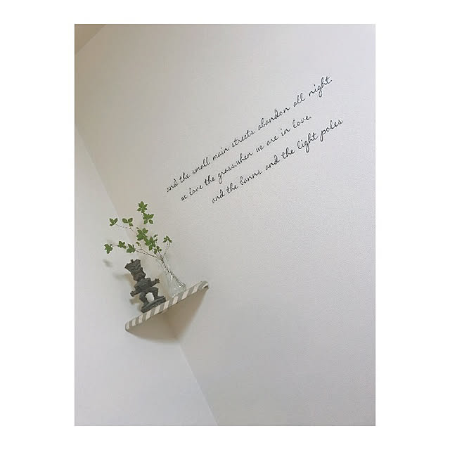 棚/ダイソー/観葉植物/100均/DIYのインテリア実例 - 2017-09-24 22:51:06