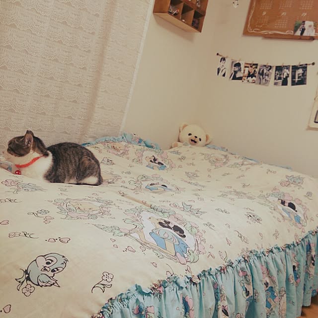 miiiiさんの実例写真