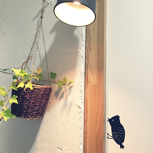 Mikiさんの実例写真