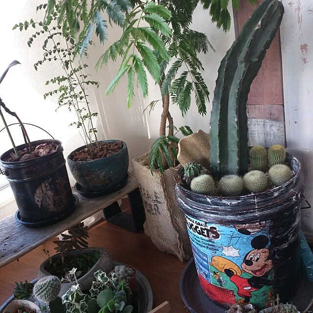 COLeCoさんの実例写真
