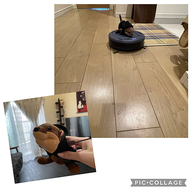 aureaさんの実例写真