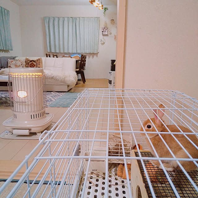 aikkoさんの実例写真