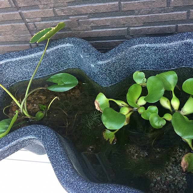 kimuraruさんの実例写真