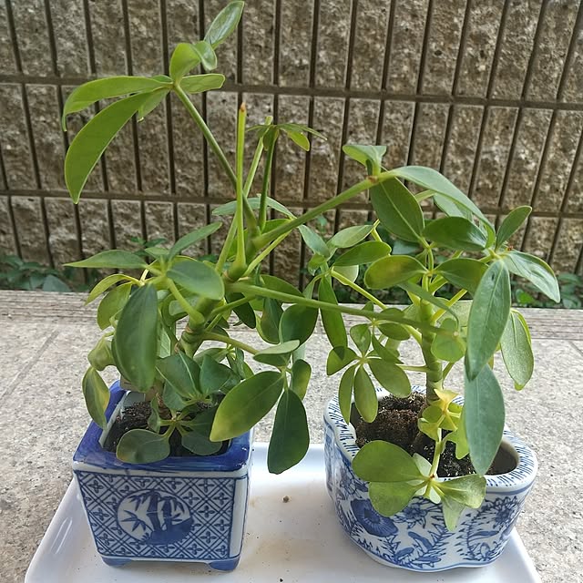 Rさんの部屋