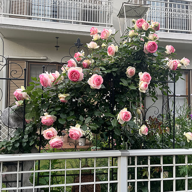 dainaoreiさんの部屋