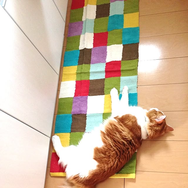 sogawakanaさんの実例写真
