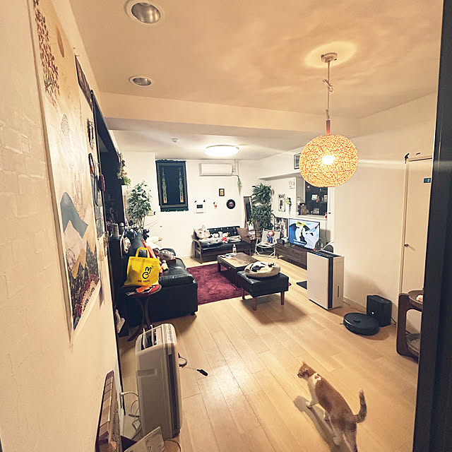 noguchiken0102さんの実例写真