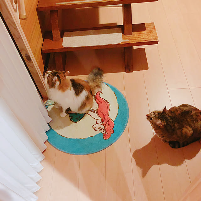 MASAさんの実例写真
