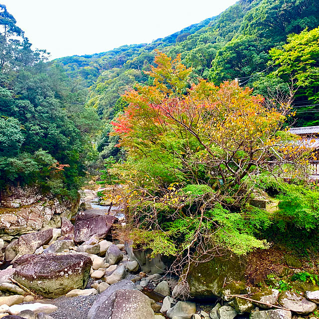 tututu0204さんの部屋