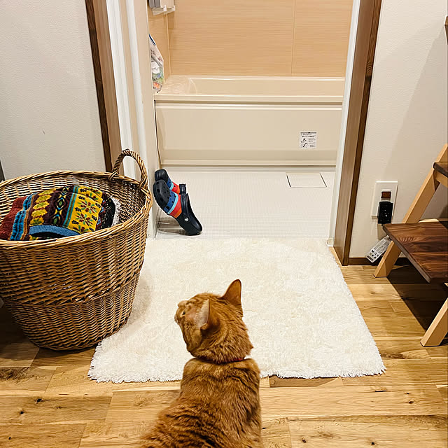 Maruさんの実例写真