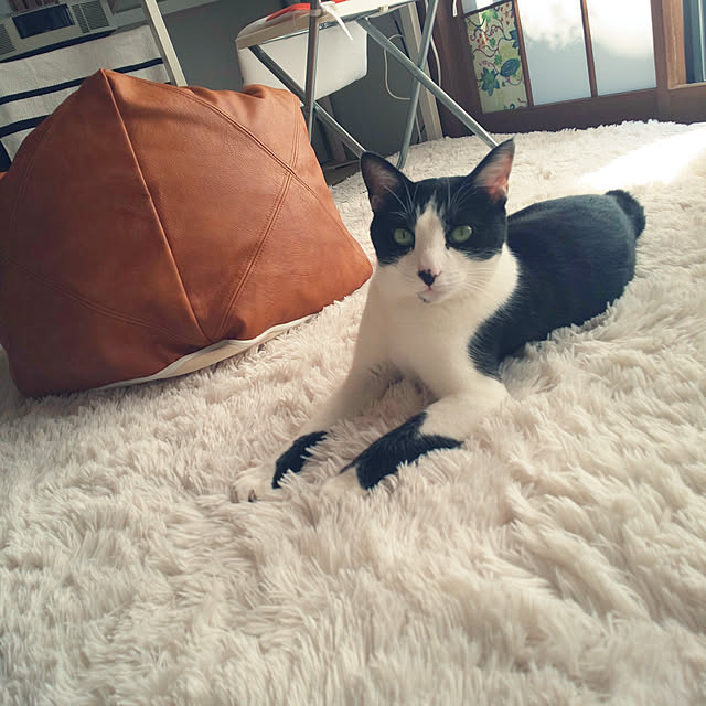 oseroさんの実例写真