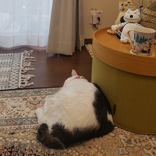 yuuさんの実例写真