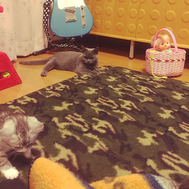 Shojiさんの実例写真