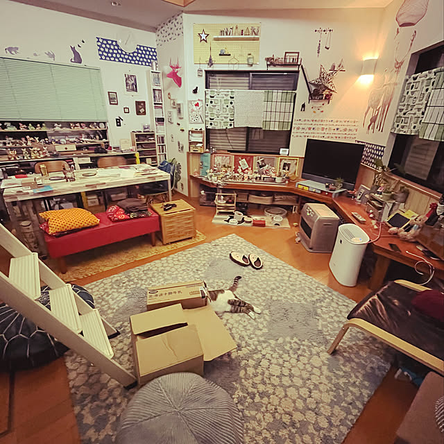 jijiさんの実例写真