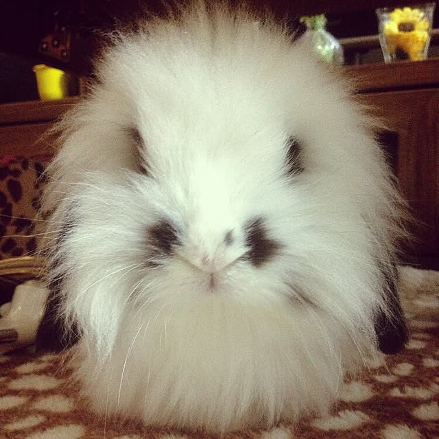 nonさんの実例写真