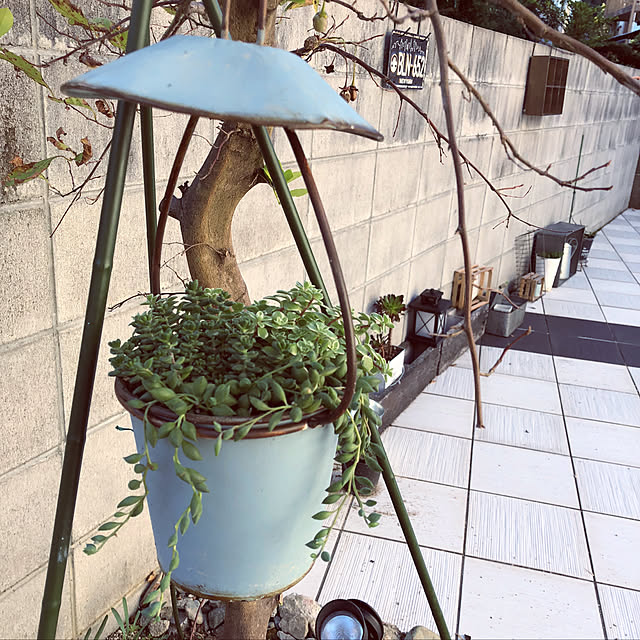 craneさんの実例写真
