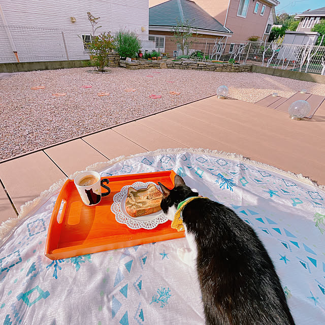 moolさんの部屋