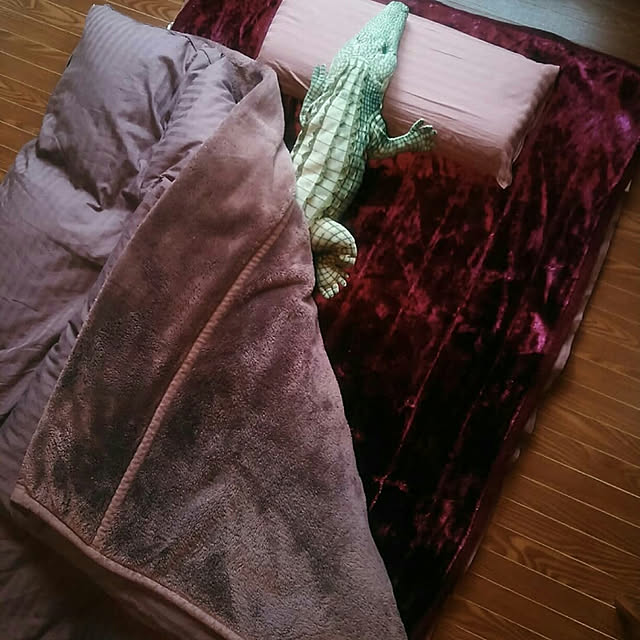 waniwaniさんの実例写真