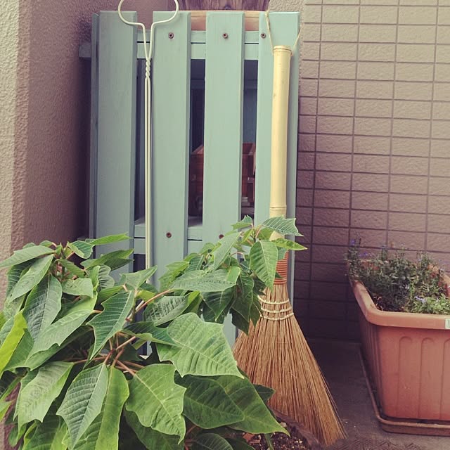 Cozさんの実例写真